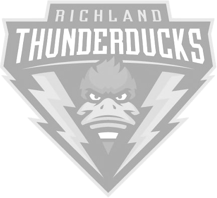 Dallas College Richland logo
